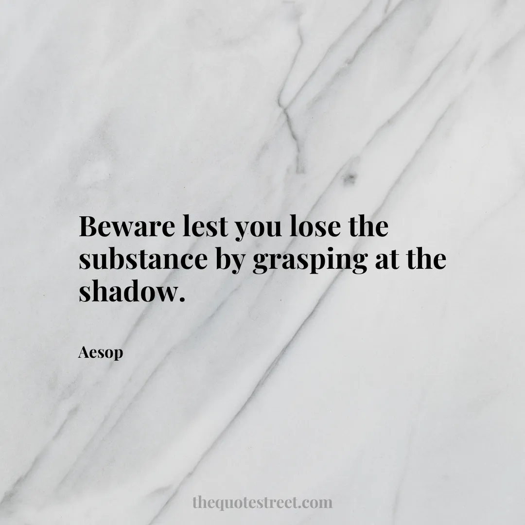 Beware lest you lose the substance by grasping at the shadow. - Aesop