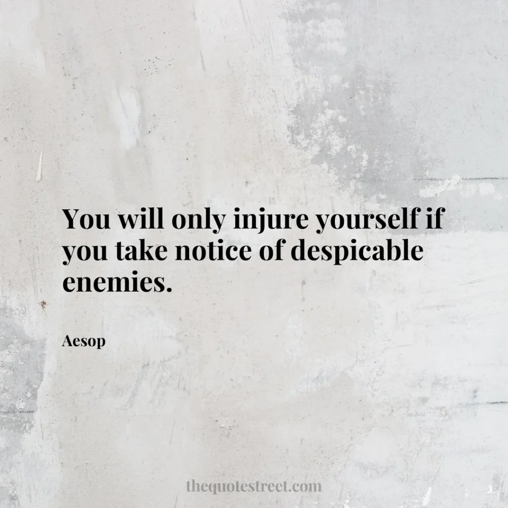 You will only injure yourself if you take notice of despicable enemies. - Aesop