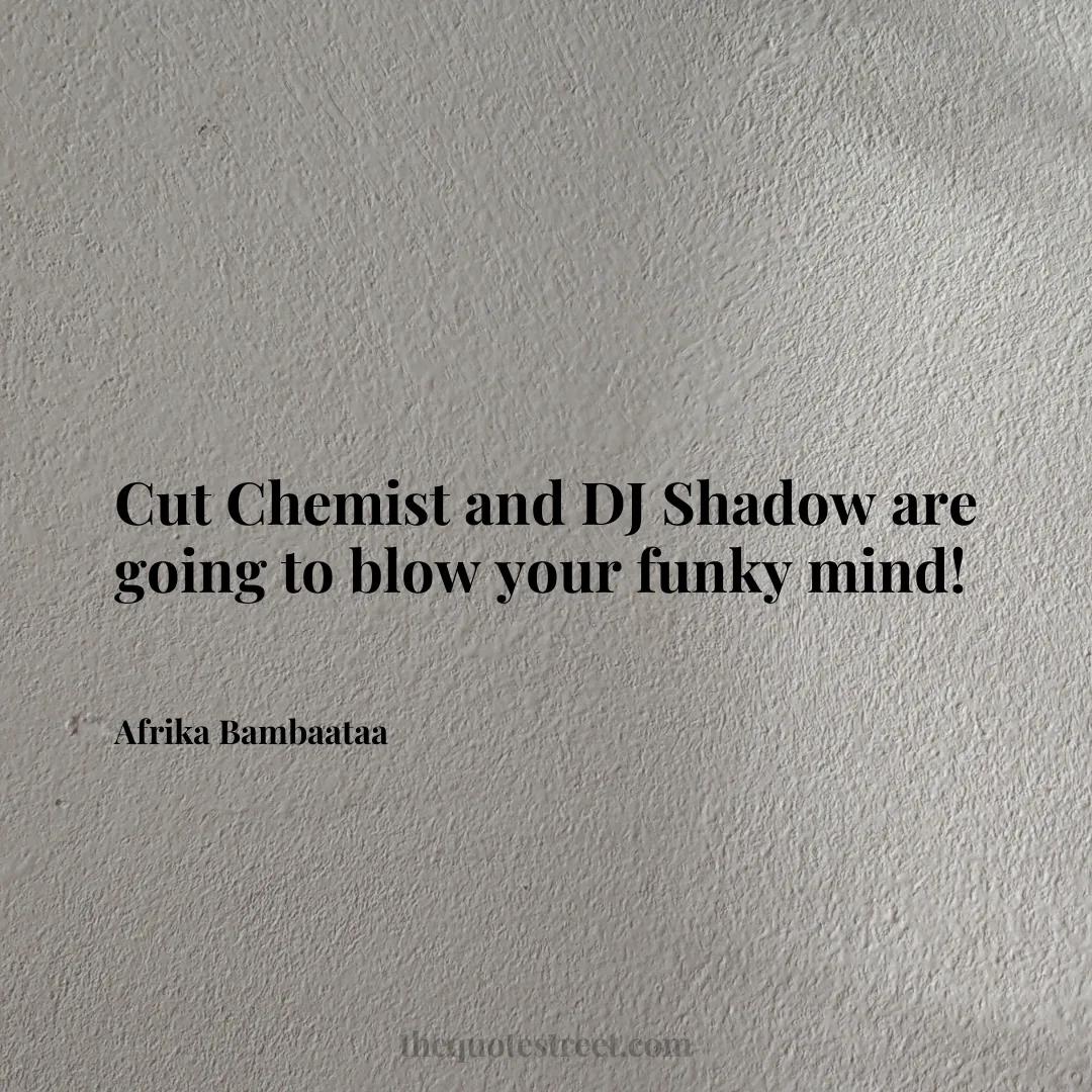 Cut Chemist and DJ Shadow are going to blow your funky mind! - Afrika Bambaataa