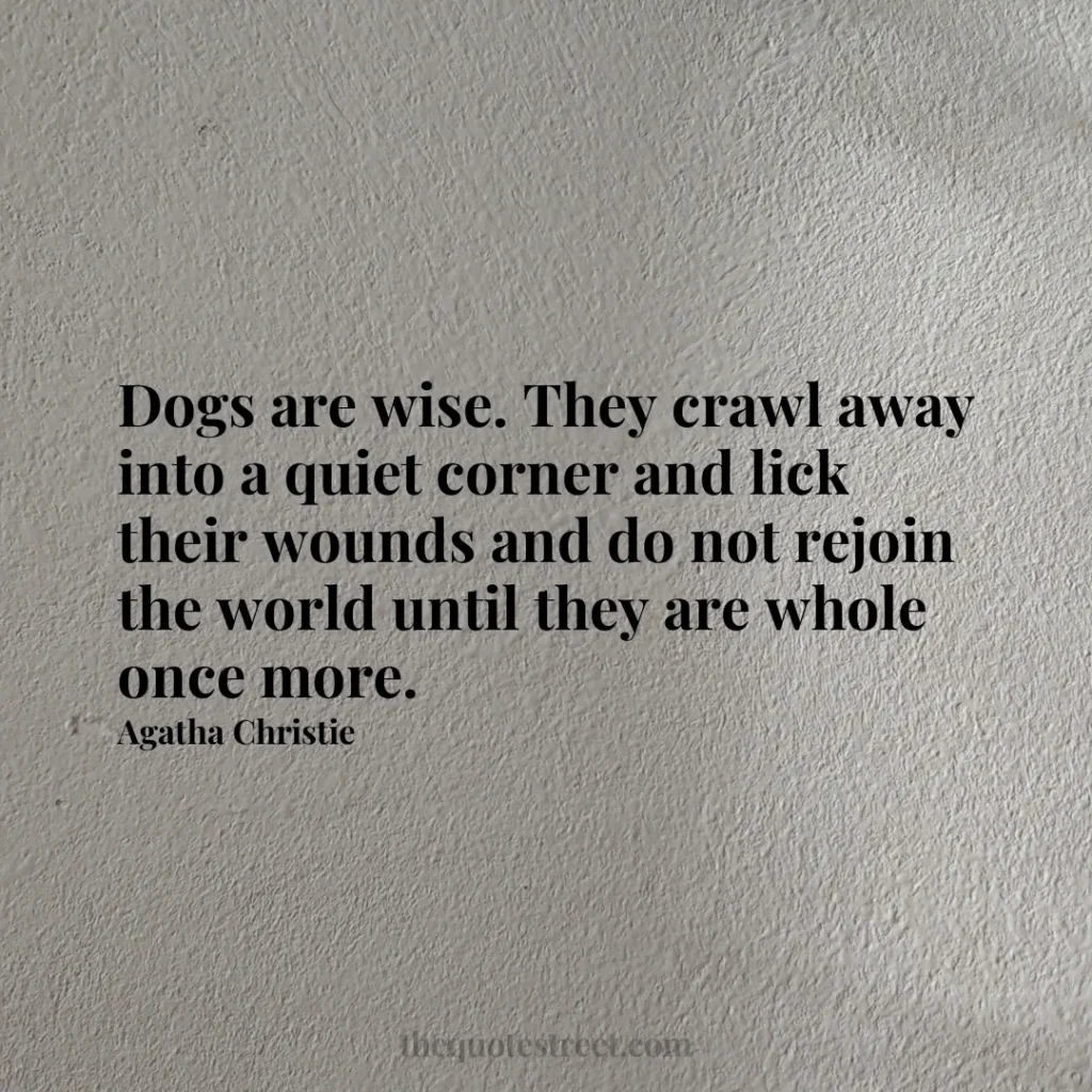 Dogs are wise. They crawl away into a quiet corner and lick their wounds and do not rejoin the world until they are whole once more. - Agatha Christie