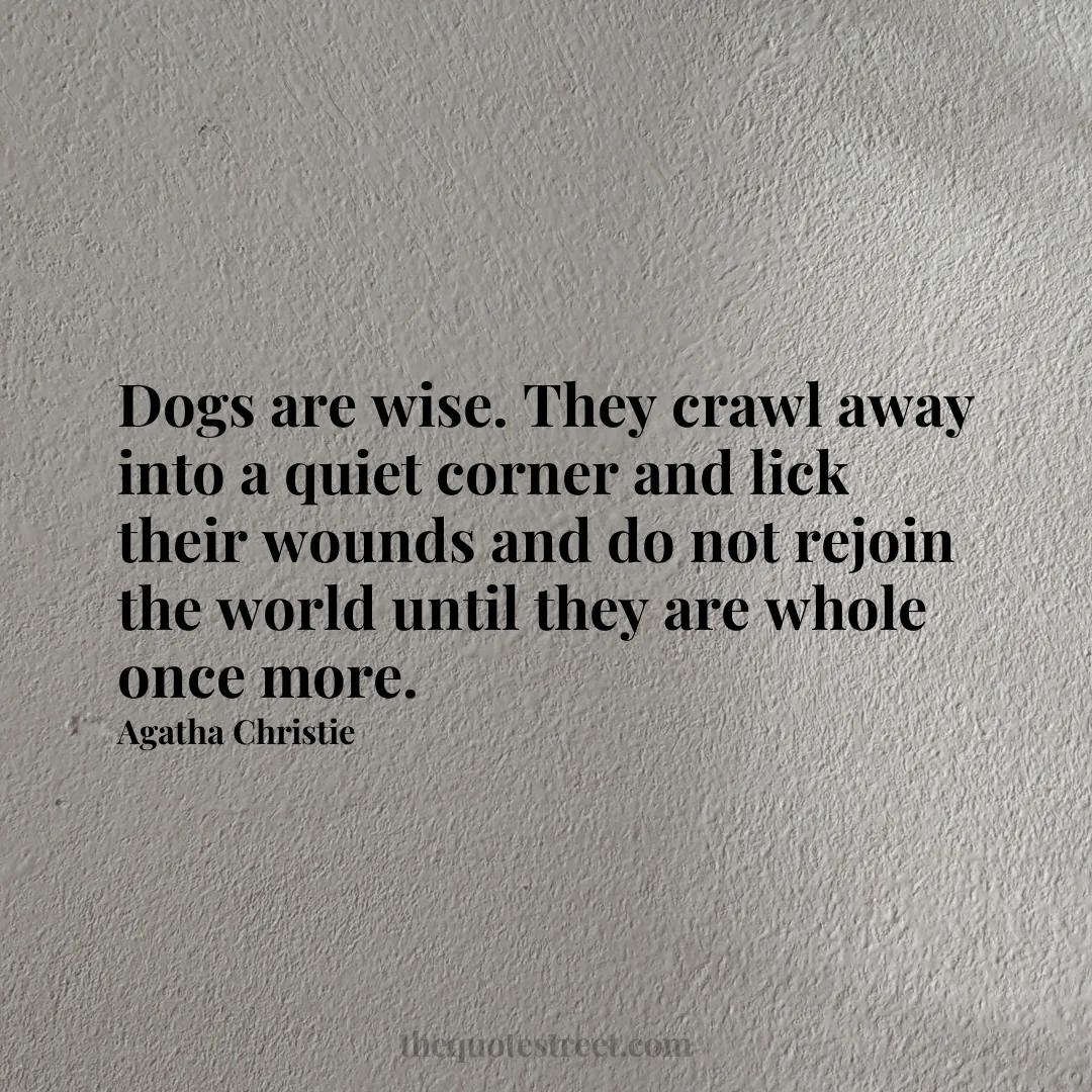 Dogs are wise. They crawl away into a quiet corner and lick their wounds and do not rejoin the world until they are whole once more. - Agatha Christie