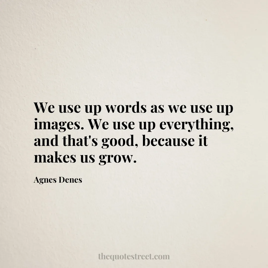 We use up words as we use up images. We use up everything