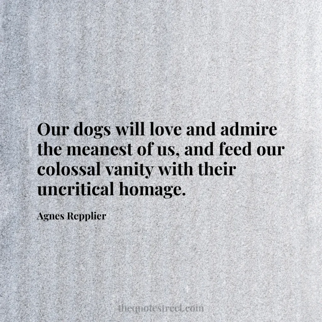 Our dogs will love and admire the meanest of us