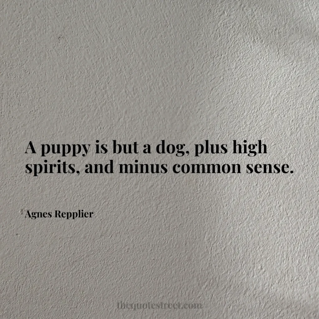 A puppy is but a dog