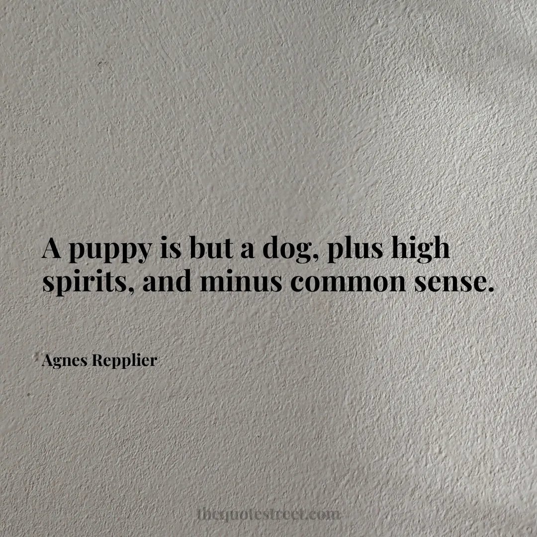 A puppy is but a dog