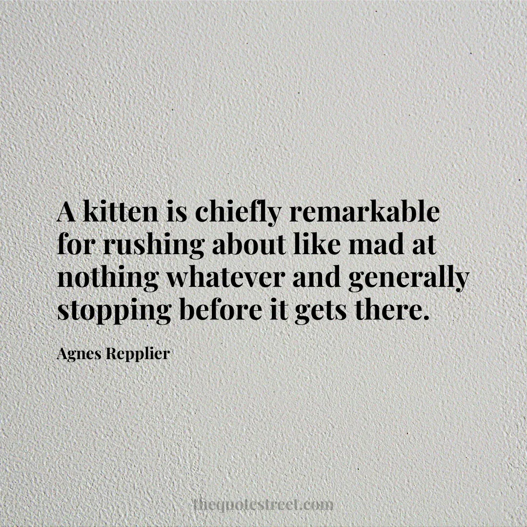 A kitten is chiefly remarkable for rushing about like mad at nothing whatever and generally stopping before it gets there. - Agnes Repplier