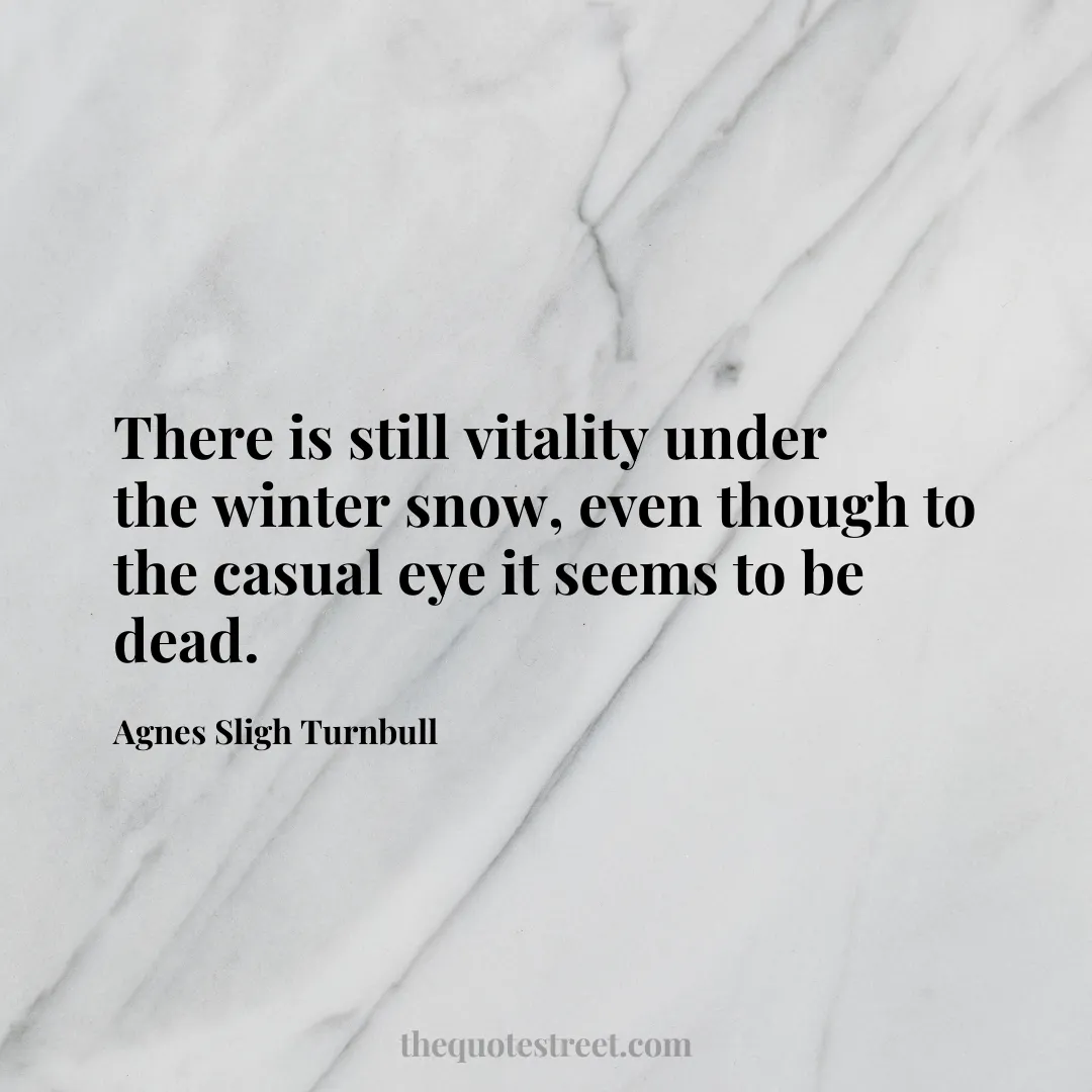 There is still vitality under the winter snow