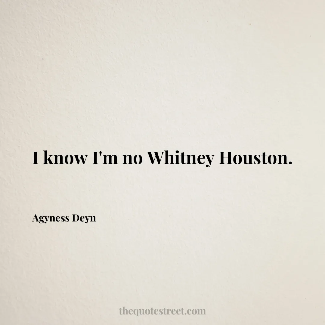 I know I'm no Whitney Houston. - Agyness Deyn