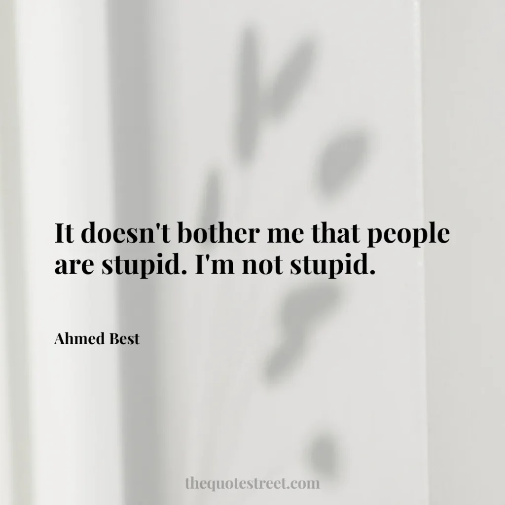 It doesn't bother me that people are stupid. I'm not stupid. - Ahmed Best