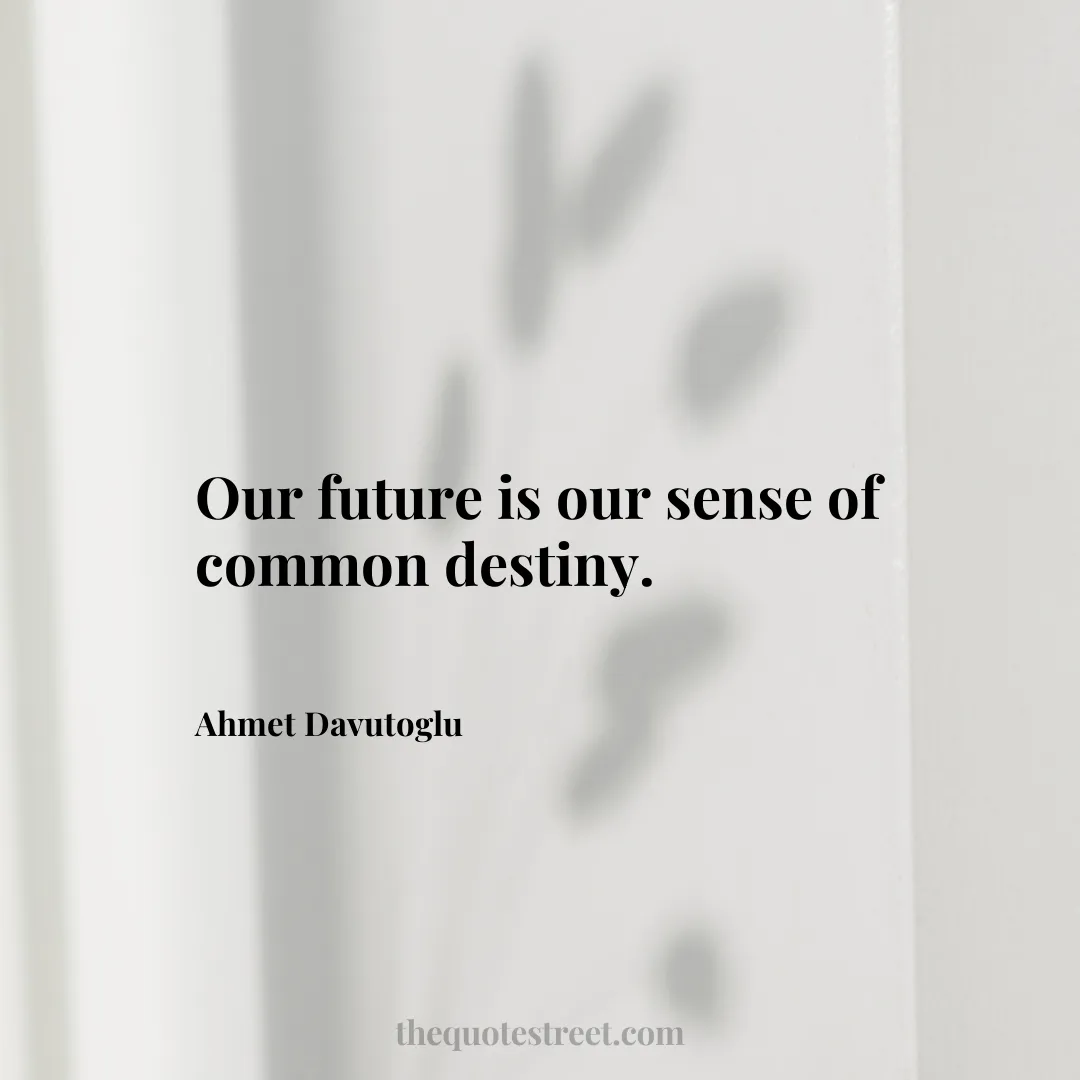 Our future is our sense of common destiny. - Ahmet Davutoglu