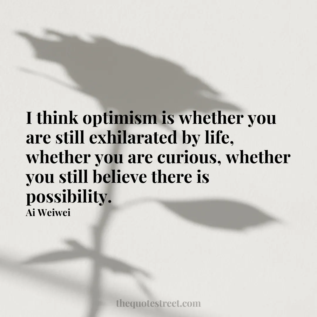 I think optimism is whether you are still exhilarated by life