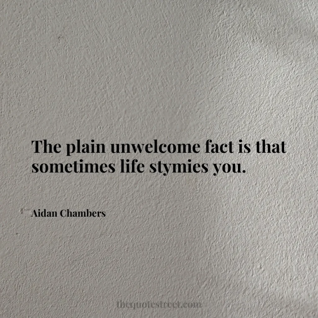 The plain unwelcome fact is that sometimes life stymies you. - Aidan Chambers