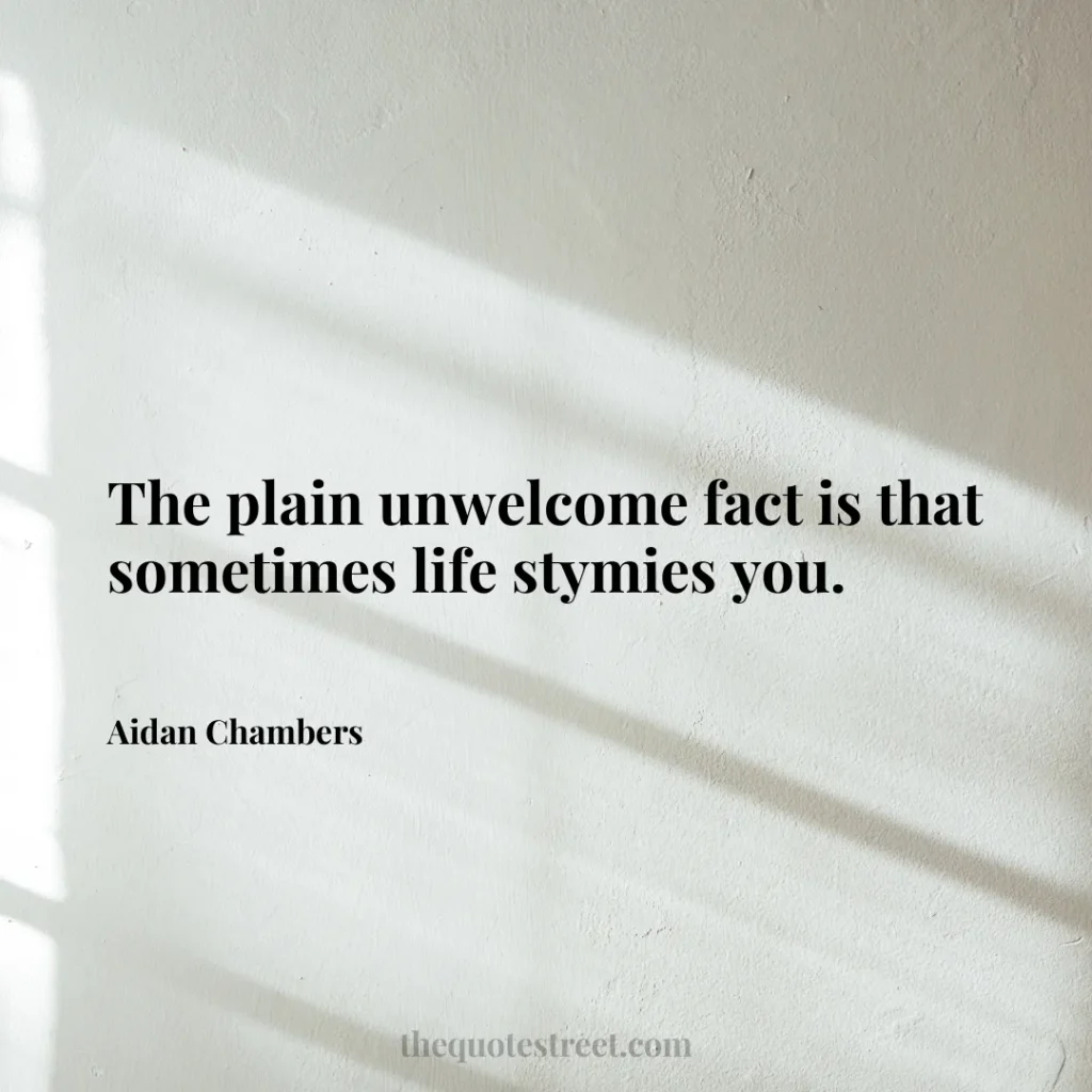 The plain unwelcome fact is that sometimes life stymies you. - Aidan Chambers