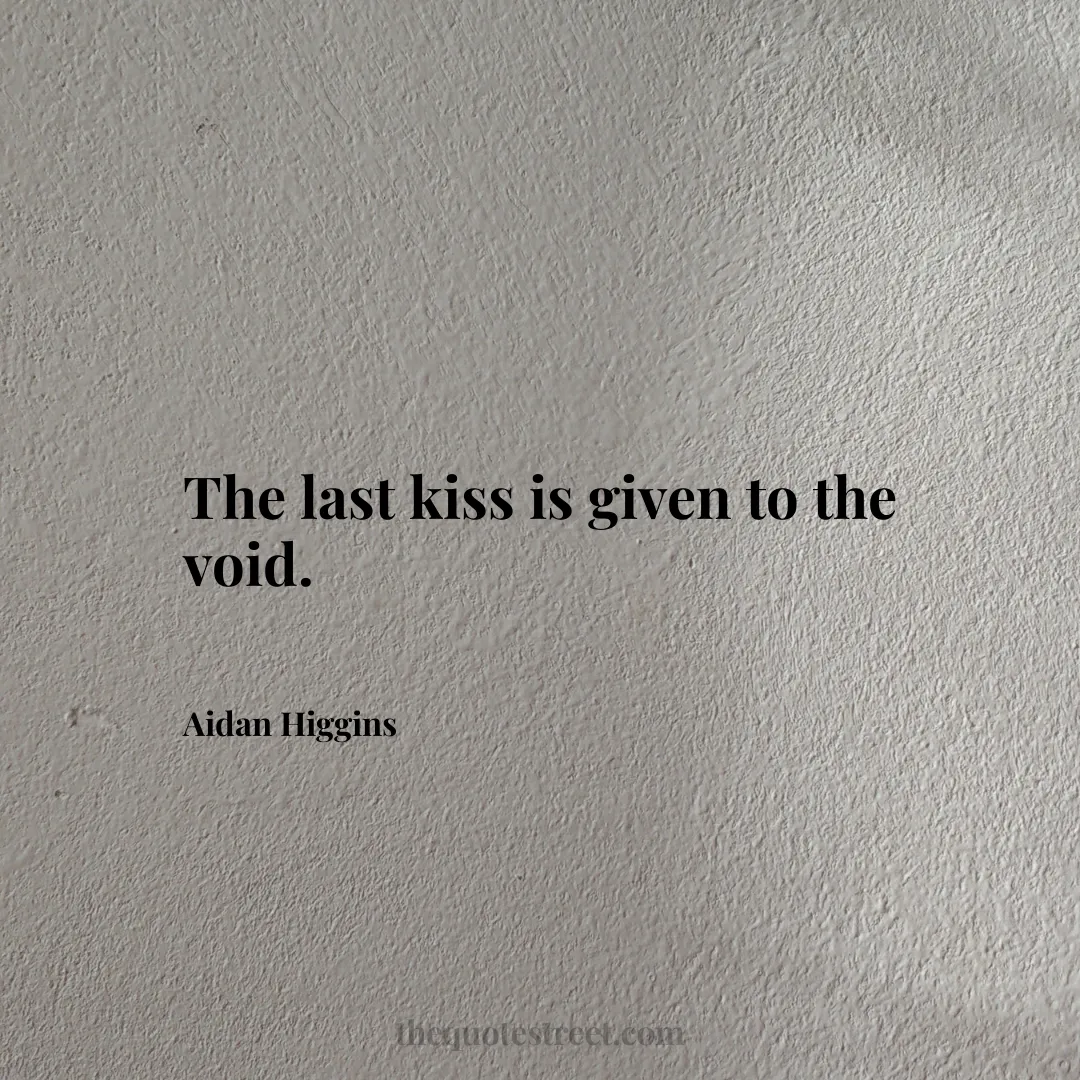 The last kiss is given to the void. - Aidan Higgins