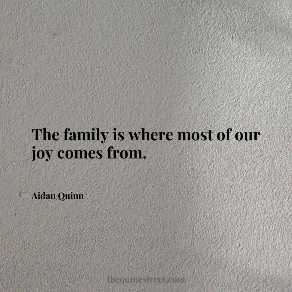 The family is where most of our joy comes from. - Aidan Quinn