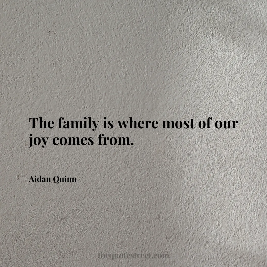 The family is where most of our joy comes from. - Aidan Quinn