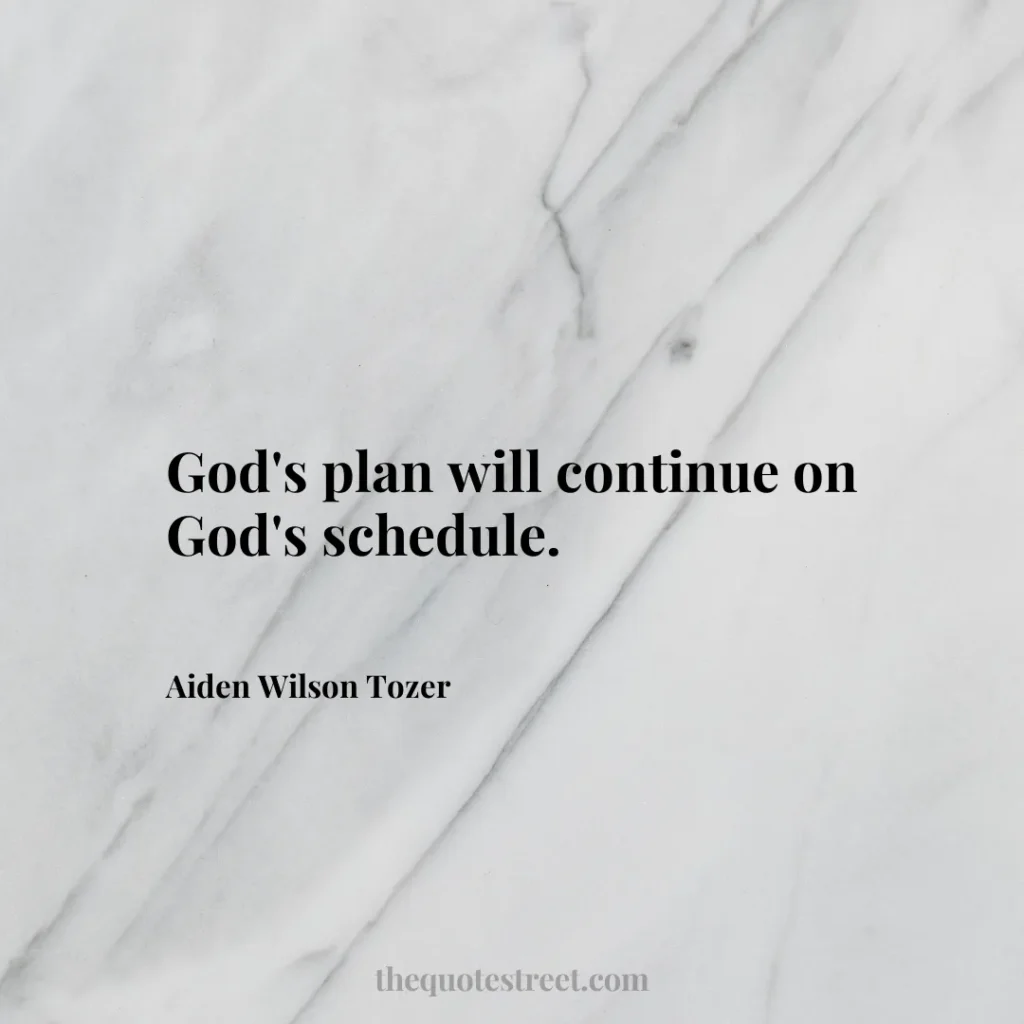 God's plan will continue on God's schedule. - Aiden Wilson Tozer