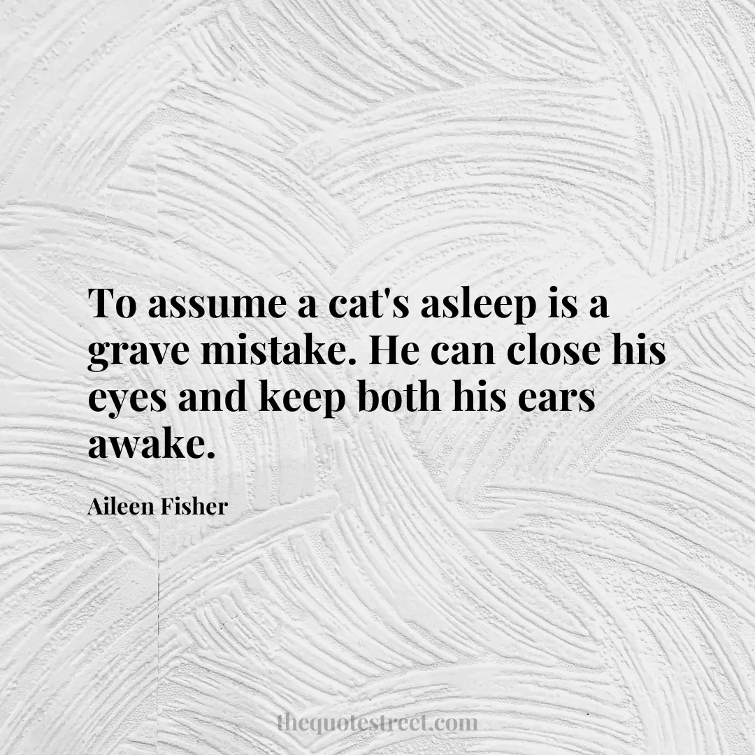 To assume a cat's asleep is a grave mistake. He can close his eyes and keep both his ears awake. - Aileen Fisher