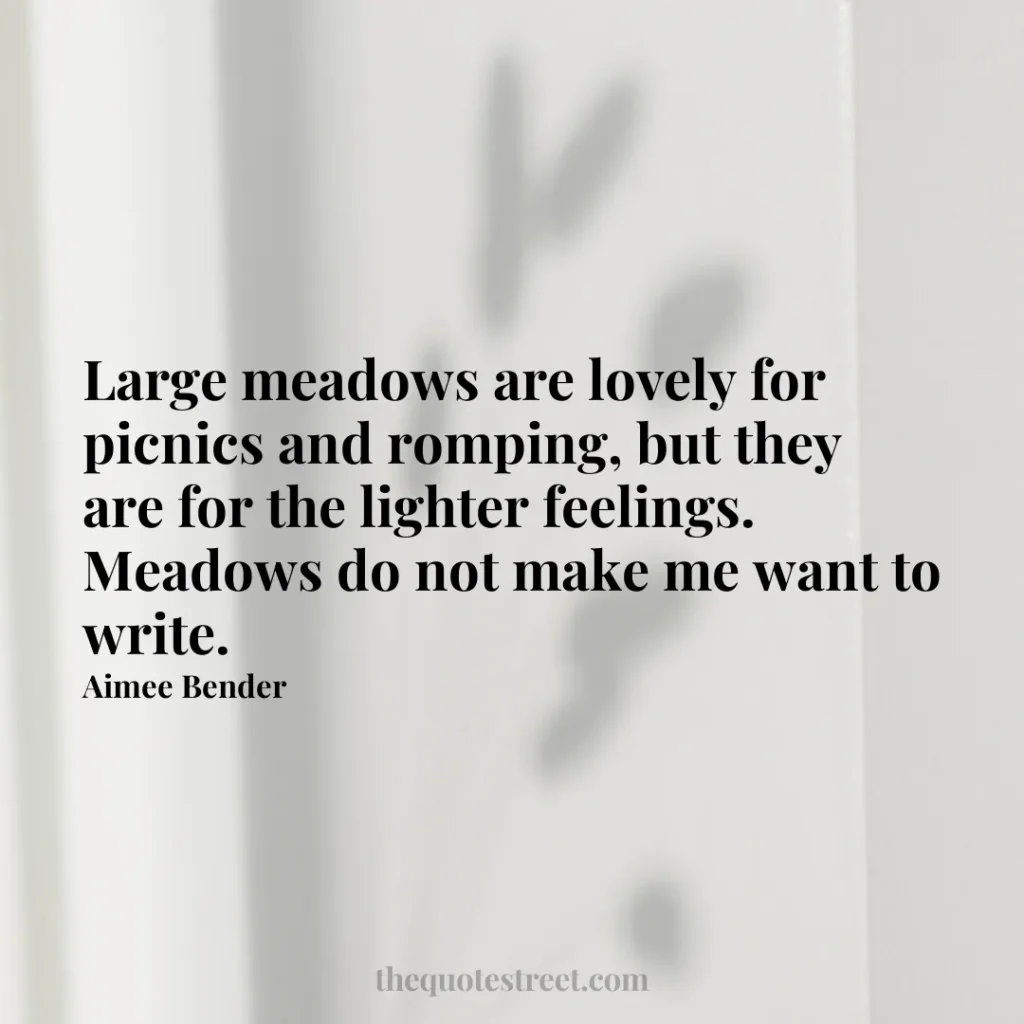 Large meadows are lovely for picnics and romping