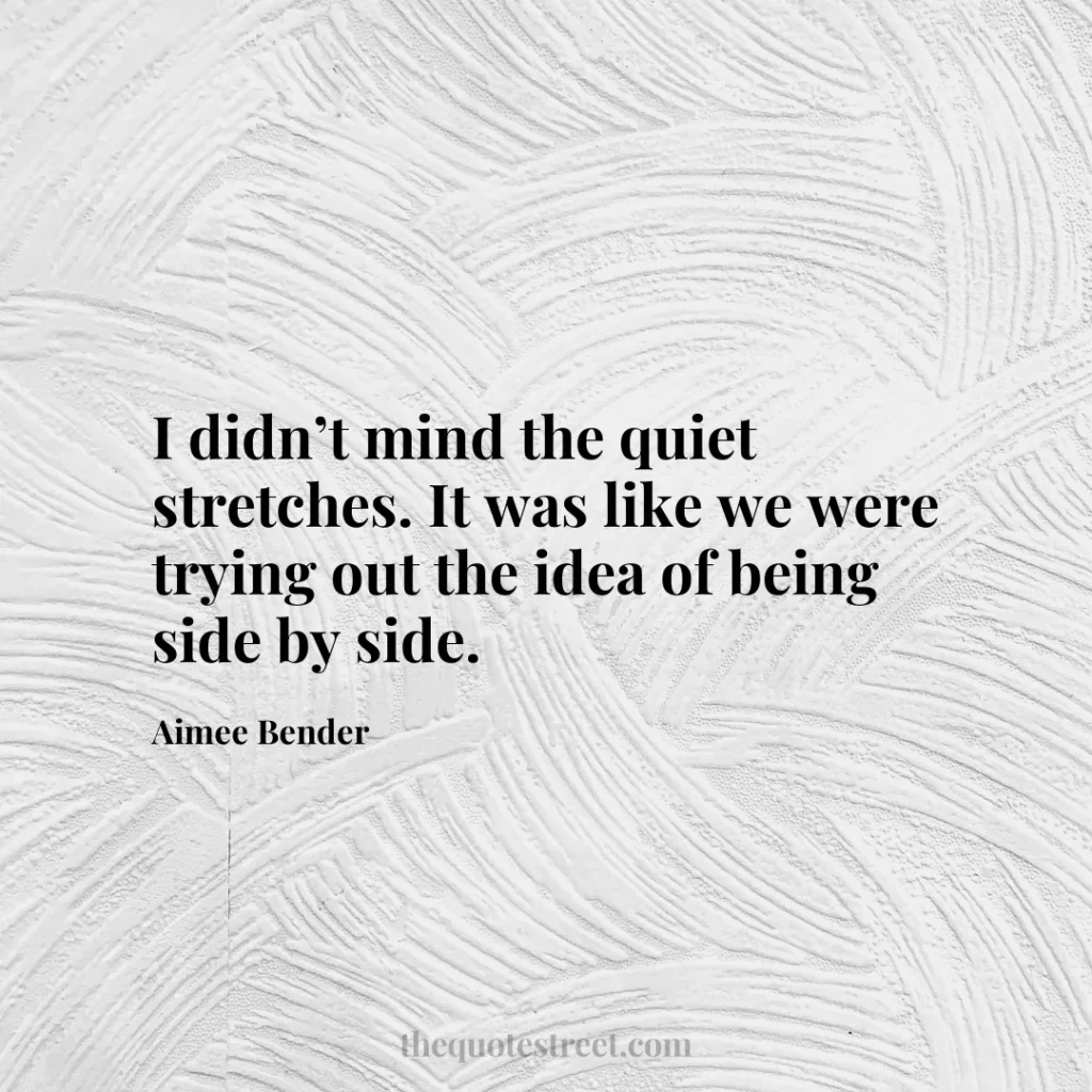 I didn’t mind the quiet stretches. It was like we were trying out the idea of being side by side. - Aimee Bender