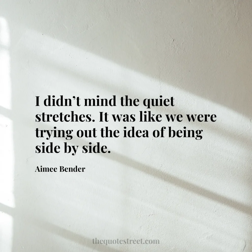 I didn’t mind the quiet stretches. It was like we were trying out the idea of being side by side. - Aimee Bender