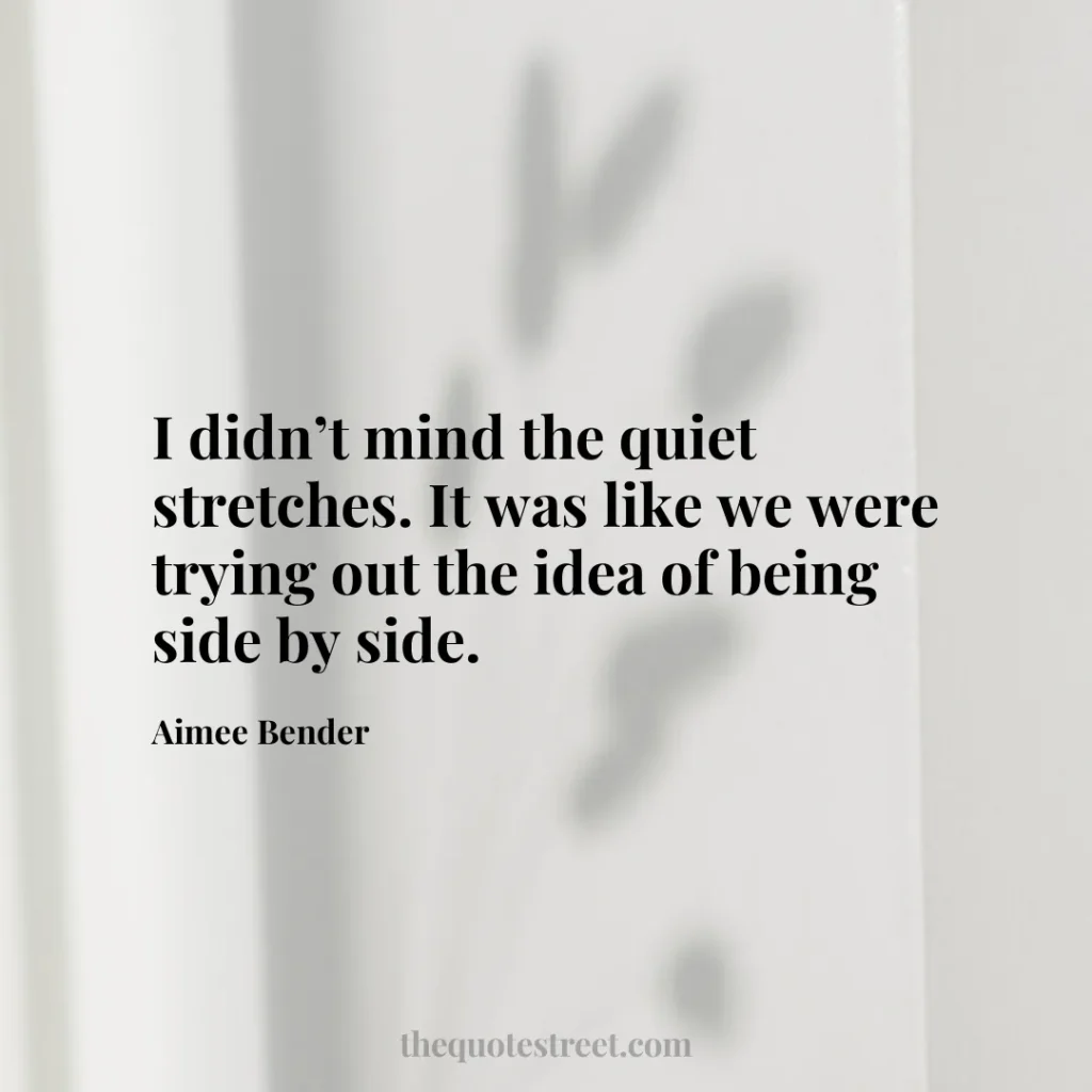 I didn’t mind the quiet stretches. It was like we were trying out the idea of being side by side. - Aimee Bender