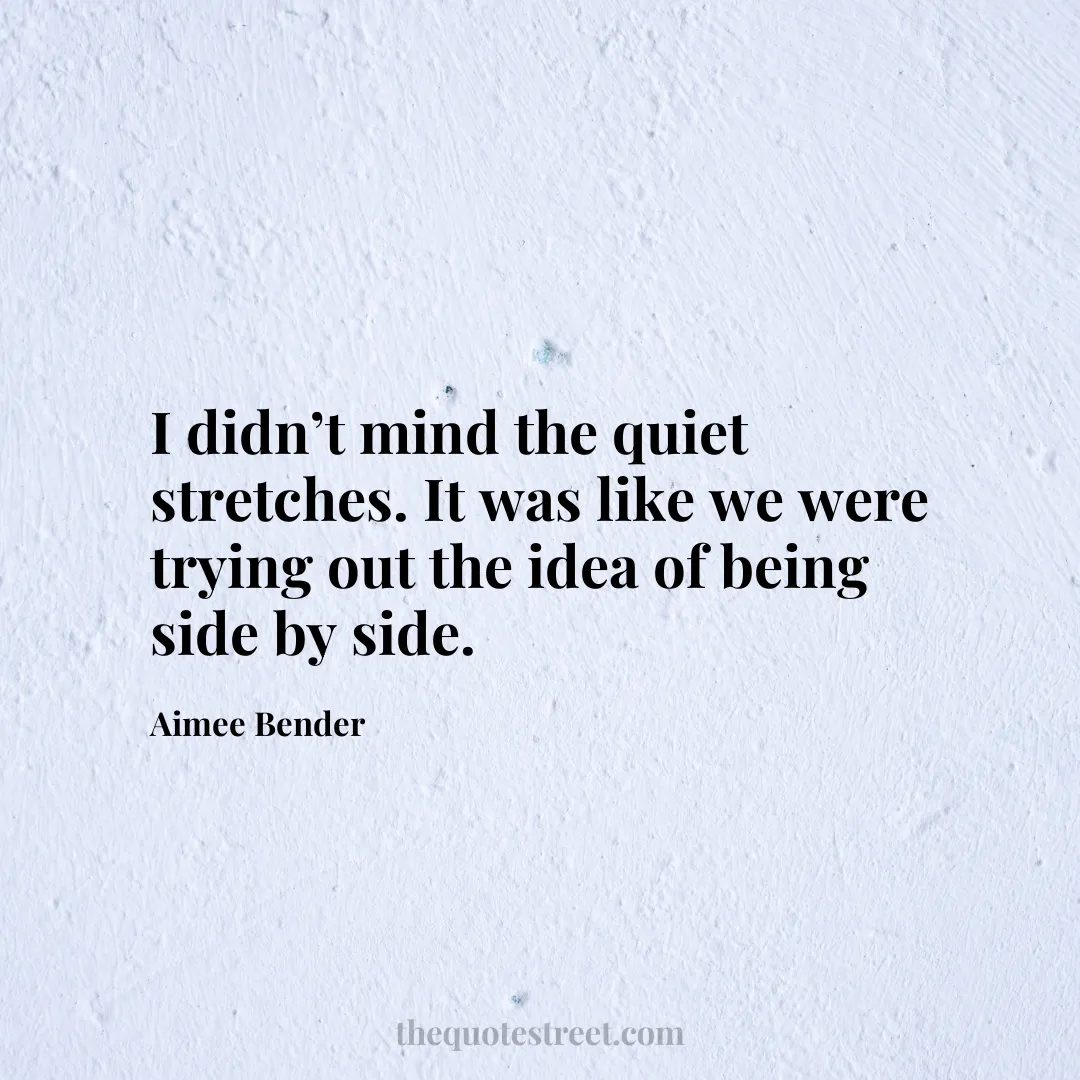 I didn’t mind the quiet stretches. It was like we were trying out the idea of being side by side. - Aimee Bender