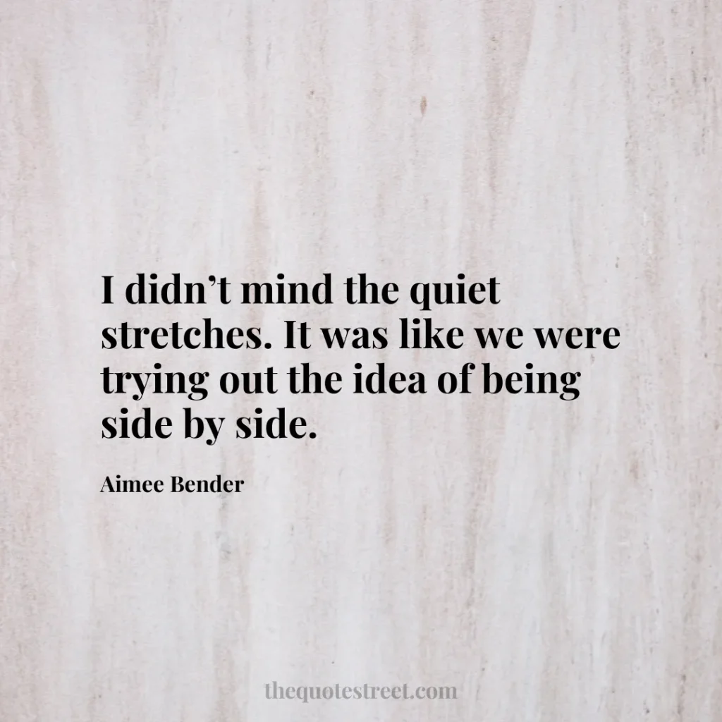 I didn’t mind the quiet stretches. It was like we were trying out the idea of being side by side. - Aimee Bender