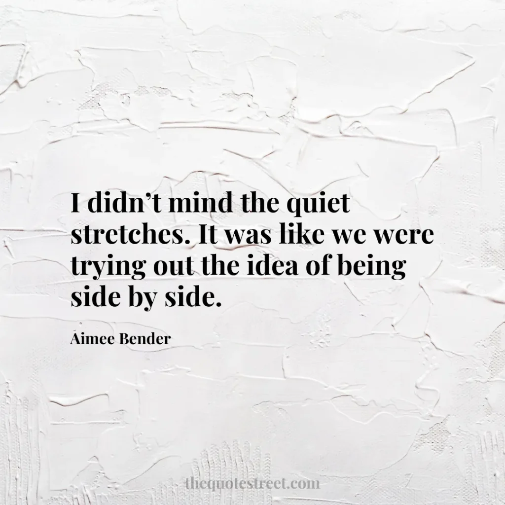 I didn’t mind the quiet stretches. It was like we were trying out the idea of being side by side. - Aimee Bender
