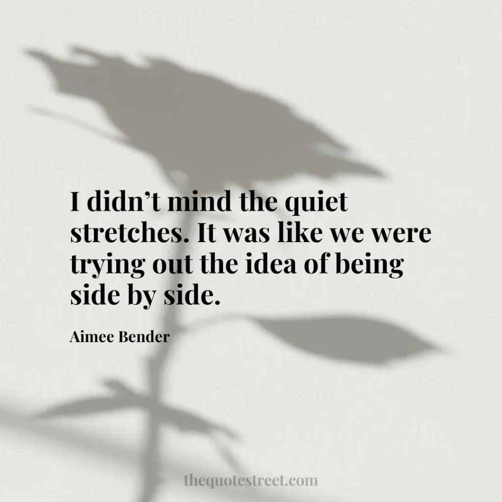 I didn’t mind the quiet stretches. It was like we were trying out the idea of being side by side. - Aimee Bender